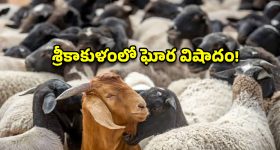 'పెద్ద పెద్ద కలలు కనడం సరిపోదు వాటిని..' ప్రతిరోజూ చదవాల్సిన మోటివేషనల్ కోట్స్