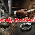మెట్రో పిల్లర్ల కేసులో అసలు కథ ఇదేనా? బెయిల్ కోసం సెక్షన్లు తగ్గించేశారా?