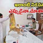 వినూత్న నిరసన.. అధికారి టేబుల్‌పై వీధి కుక్క.. 8 రోజుల డెడ్ లైన్!
