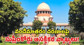 కొండల్లోని అద్భుతమైన మాయా చెట్టు... కలల ప్రపంచంలోకి తీసుకెళ్లే విజువల్ ఫ్యాంటసీ అడ్వెంచర్