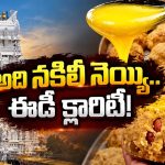 తిరుమల లడ్డులో అసలు నెయ్యే లేదా? మరి జంతువుల కొవ్వు మాటేంటీ?