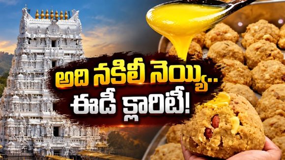 తిరుమల లడ్డులో అసలు నెయ్యే లేదా? మరి జంతువుల కొవ్వు మాటేంటీ?