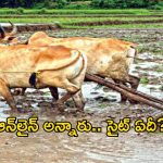 డిజిటల్ తెలంగాణలో లైవ్ స్టాక్ చీకట్లు.. ఏళ్లు గడుస్తున్నా లేని వెబ్‌సైట్!