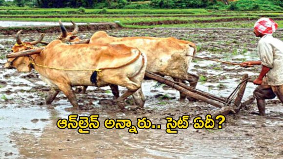 డిజిటల్ తెలంగాణలో లైవ్ స్టాక్ చీకట్లు.. ఏళ్లు గడుస్తున్నా లేని వెబ్‌సైట్!