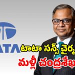 రెండుగా చీలిన టాటా గ్రూప్.. చంద్రశేఖరన్ ‘మళ్లీ ఓకే’.. నోయెల్ టాటా ‘నాట్ ఓకే’!