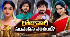 సీరియల్‌లో నటించేది కొన్ని గంటలే.. కానీ రెమ్యునరేషన్ మాత్రం వేలల్లో!