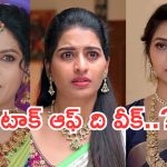 Telugu Serials : సీరియల్స్ వీక్లీ రౌండప్.. టాక్ ఆఫ్ ది సీరియల్?