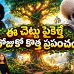 కొండల్లోని అద్భుతమైన మాయా చెట్టు… కలల ప్రపంచంలోకి తీసుకెళ్లే విజువల్ ఫ్యాంటసీ అడ్వెంచర్