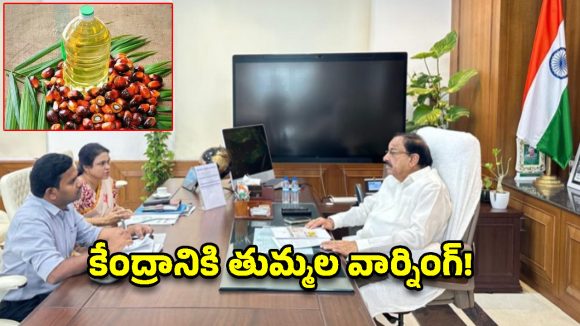 ఆయిల్ పామ్ రైతులకు ఊహించని షాక్.. కేంద్రం నిర్ణయంపై భగ్గుమన్న మంత్రి తుమ్మల!