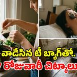 వాడిన టీ బ్యాగ్స్ పారేస్తున్నారా? తప్పు చేస్తున్నట్లే.. వాటివల్ల ఎన్ని లాభాలో తెలుసా?