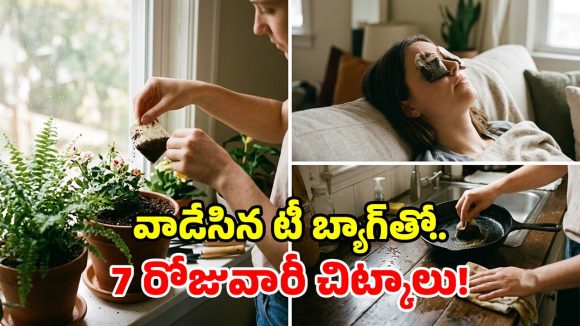 వాడిన టీ బ్యాగ్స్ పారేస్తున్నారా? తప్పు చేస్తున్నట్లే.. వాటివల్ల ఎన్ని లాభాలో తెలుసా?