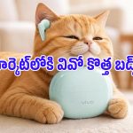 కేవలం 3.8 గ్రాముల బరువు, 50 గంటల బ్యాటరీ లైఫ్.. వివో కొత్త బడ్స్ భారత్‌లో లాంచ్!