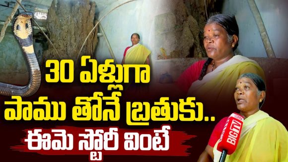 ఇంట్లోనే 30 ఏళ్లుగా పెరుగుతున్న పుట్ట.. భయంతో వణుకుతున్న వృద్ధురాలు!