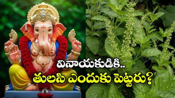 పవిత్రమైన తులసి.. గణపతికి మాత్రం పెట్టరు.. ఎందుకో తెలుసా?