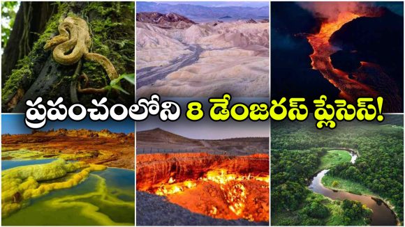 అందంగా కనిపిస్తాయి.. కానీ, అడుగు పెడితే అంతే సంగతులు!