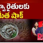 ఆక్వా రైతులకు మేత షాక్