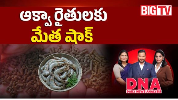ఆక్వా రైతులకు మేత షాక్