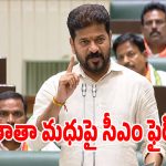 అధ్యక్షా మిమ్మల్నే తిడతారా.. అసెంబ్లీలో తాతా మధుపై సీఎం రేవంత్ ఫైర్!