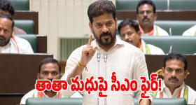 అధ్యక్షా మిమ్మల్నే తిడతారా.. అసెంబ్లీలో తాతా మధుపై సీఎం రేవంత్ ఫైర్!