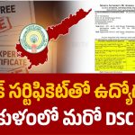 శ్రీకాకుళం జిల్లా డీఎస్సీలో మరో బిగ్ స్కామ్ బట్టబయలు.. టాప్ మార్కులు వచ్చినా రాని టీచర్ ఉద్యోగం!