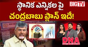 స్థానిక ఎన్నికలపై చంద్రబాబు ప్లాన్ ఇదే!