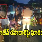 డీసీఎం ఢీకొని ఆరు పాడి గేదెలు మృతి.. దిక్కుతోచని స్థితిలో అన్నదాత!