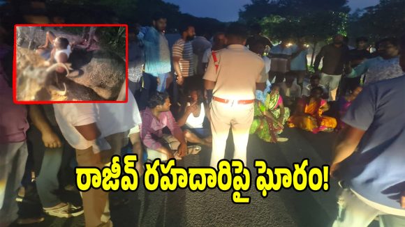 డీసీఎం ఢీకొని ఆరు పాడి గేదెలు మృతి.. దిక్కుతోచని స్థితిలో అన్నదాత!