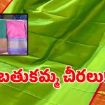 చిలకపచ్చ రంగు.. ఎర్రటి బార్డర్.. ఈసారి బతుకమ్మ చీరల లుక్ ఇదే!