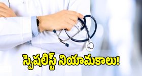 కారు బానెట్‌పై గాళ్‌ఫ్రెండ్‌ని ఈడ్చుకెళ్లిన ప్రియుడు.. లక్నోలో షాకింగ్ ఘటన, వీడియో వైరల్