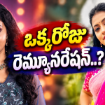 Bigg Boss 10 Telugu : బెంగాలి బ్యూటీకి ఒక్కరోజుకు రెమ్యూనరేషన్ ఎంతంటే..?
