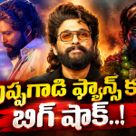 అల్లు అర్జున్ ఫ్యాన్స్ కు బిగ్ షాక్.. ఇది అస్సలు ఊహించలేదు మావా..
