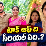 Telugu Serials : ఈ వారం టాక్ ఆఫ్ ది సీరియల్ ఇదే.. అస్సలు ఊహించలేదు..