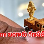 మైండ్ బ్లాకింగ్ ఆర్ట్.. కేవలం ఒక సెంటీమీటర్ వినాయకుడు.. చూస్తే కళ్లు చెదరాల్సిందే!
