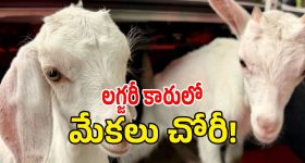 23 రోజుల్లో 9 చలాన్లు.. రూ.56 వేల జరిమానా.. నోయిడా రేప్ బస్సు పాపాల చిట్టా!