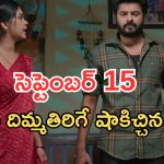 Gundeninda GudiGantalu Today episode: తాగొచ్చి రచ్చ చేసిన బాలు.. మీనా సీరియస్.. బాలుకు దిమ్మతిరిగే షాక్..