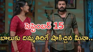 Gundeninda GudiGantalu Today episode: తాగొచ్చి రచ్చ చేసిన బాలు.. మీనా సీరియస్.. బాలుకు దిమ్మతిరిగే షాక్..