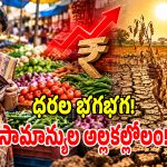 కేంద్రం నిర్ణయాలతో ధరల సూచి హైక్.. ధరల మంటతో సామాన్యుడి విల విల!