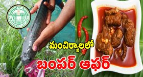 నిమజ్జనం పాటలను కూడా వదలని కేటీఆర్‌..! కేసీఆర్‌ను జనం మరవలేదని చెప్పేందుకు మరీ ఇంత అల్పత్వమా? ఆ సినిమా చూసి... కేసీఆర్‌ను తక్కువ చేసి...