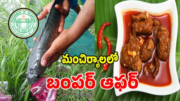 తెలంగాణలో మహిళలకు భారీ గుడ్ న్యూస్.. రూ. 2.50 కోట్లతో కొత్త ప్రాజెక్ట్!