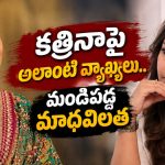 పిల్లలు పుట్టాక మీ భార్యలను వదిలేస్తారా? మాధవీలత ఘాటు వ్యాఖ్యలు
