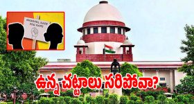 వింత వింత జంతువులతో క్రేజీ అడ్వెంచర్... తెలుగులోనే ఈ కిడ్స్ అండ్ ఫ్యామిలీ ధమాకా