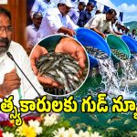 తెలంగాణలో ఉచిత చేప పిల్లల పంపిణీ.. ఏ జిల్లాలకు ఎంత? పూర్తి వివరాలివే!