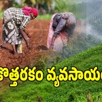 తెలంగాణలో మేఘాలయ మోడల్ వ్యవసాయ విధానం.. మోదట వేసే పంట ఇదే?