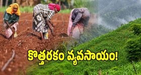 ఎల్జీ కొత్త వాషింగ్ మిషన్లు.. బుర్ర బద్దలయ్యే క్రేజీ ఫీచర్లు.. మార్కెట్‌ షేక్ అవ్వడం పక్కా!