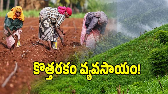 తెలంగాణలో మేఘాలయ మోడల్ వ్యవసాయ విధానం.. మోదట వేసే పంట ఇదే?