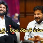 థియేటర్లో సినిమా చూడాలన్న నాని.. సీఎం రేవంత్ రెడ్డి ఏమన్నారంటే?
