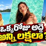 మాల్దీవ్స్ లో నయనతార.. 2 రోజుల బస కోసం ఎంత ఖర్చు పెట్టారో తెలుసా?