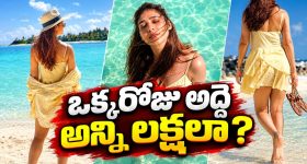 సీఈసీ జ్ఞానేష్ కుమార్‌కు బిగ్ షాక్.. సుప్రీంకోర్టులో పిటిషన్ దాఖలు!