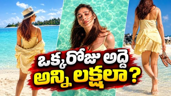 మాల్దీవ్స్ లో నయనతార.. 2 రోజుల బస కోసం ఎంత ఖర్చు పెట్టారో తెలుసా?