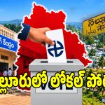 నెల్లూరు స్థానిక ఎన్నికల్లో సంచలనం.. కూటమికి ఛాలెంజ్‌గా సీట్ల రగడ!